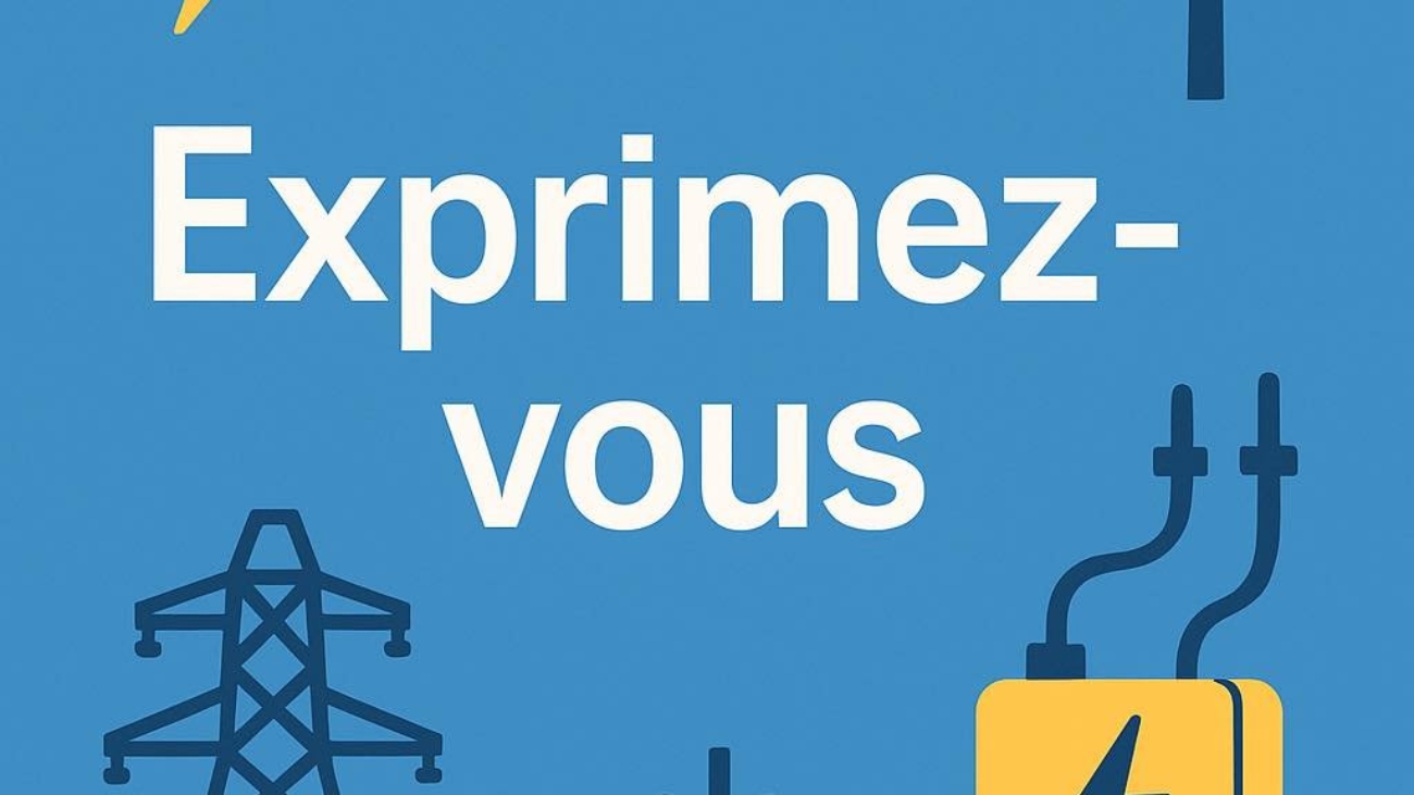 a62145f95fc97dc0e341bbe1aef161c1_reseau-ele